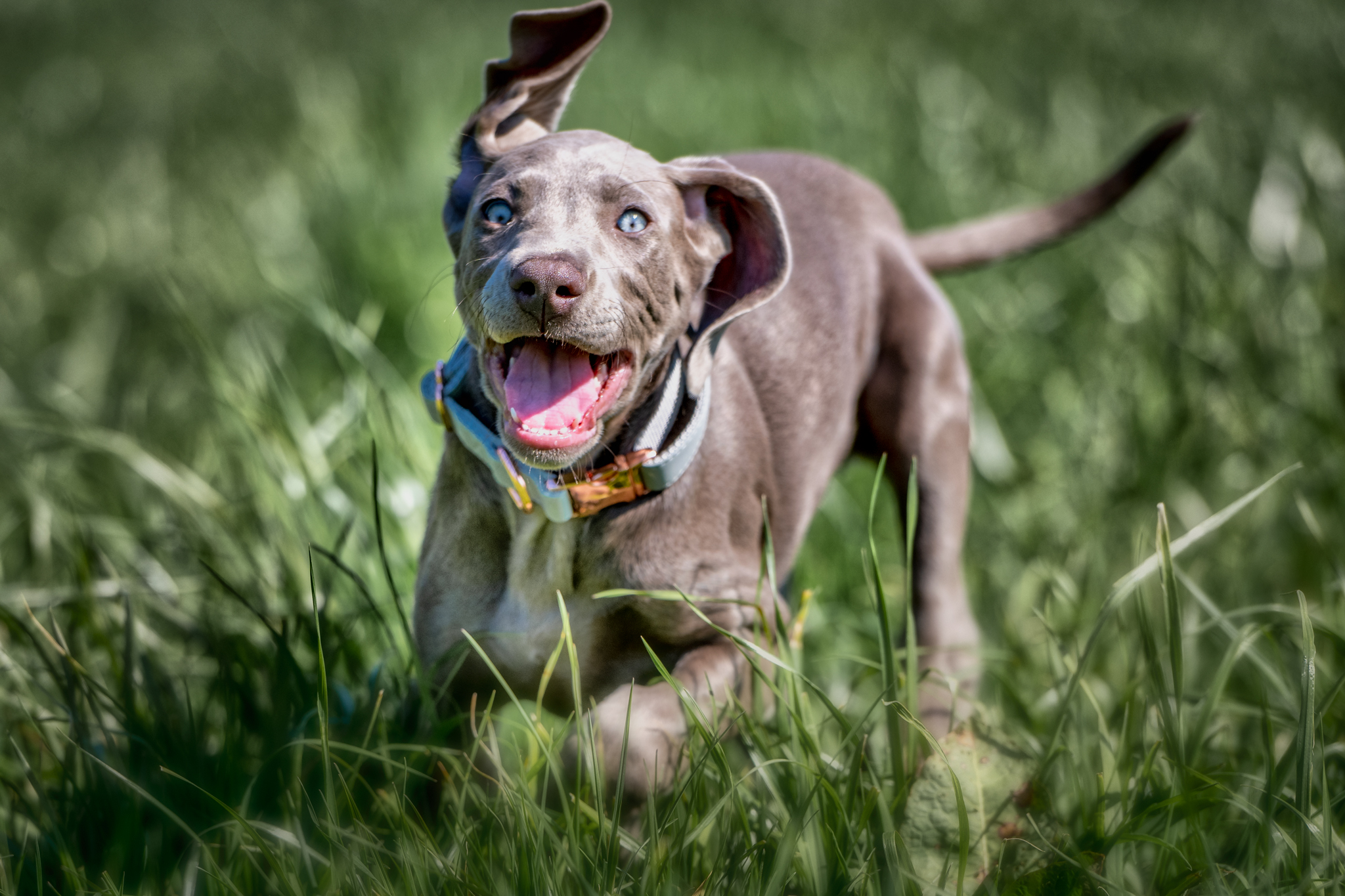 DSC 5653 Bearbeitet Kopie